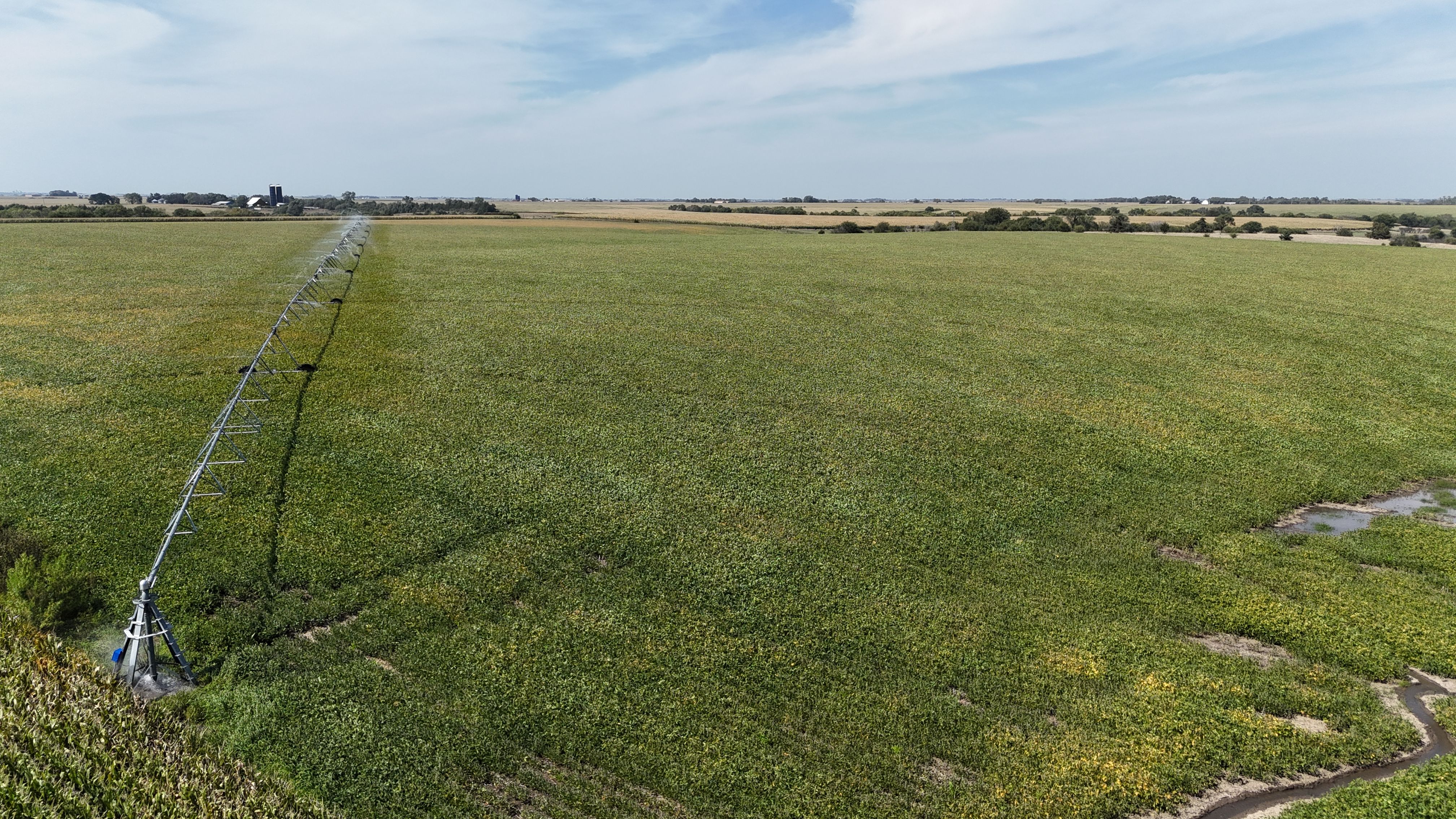 Listing Photo: york-county-ne-199-acres (3)